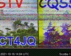 SSTV598